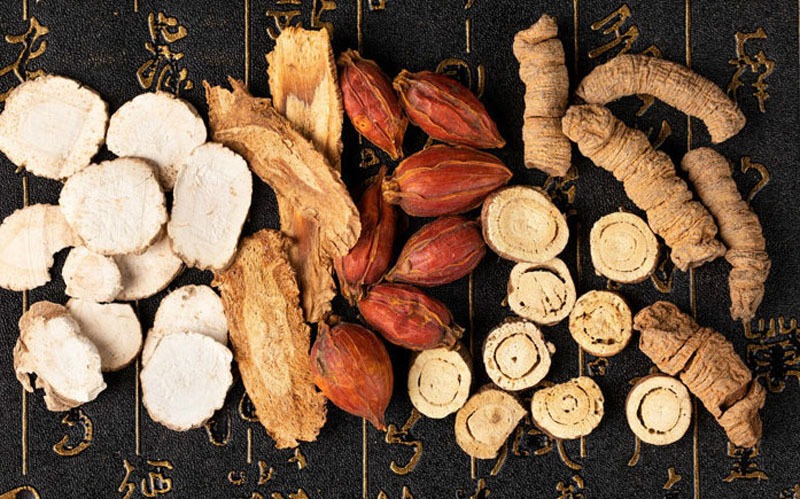 Traditional Chinese Medicine