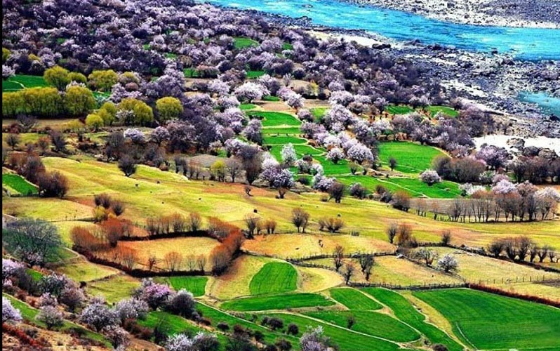 The Top 9 Places to Visit  in April in China